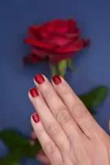 عکاسی تخصصی 3p