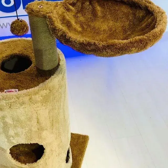 پت شاپ اکسیژن (شعبه مرکزی)