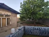 تالار باغ نادری
