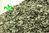 فروشگاه طیبه
