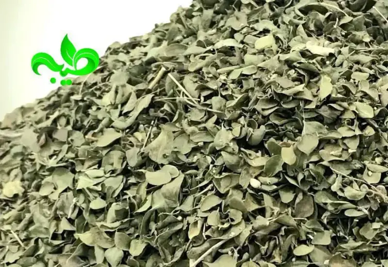 فروشگاه طیبه