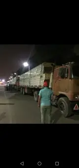 ساندویچ پانل سقفی پوشش آریان