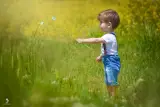 آتلیه نیم رخ