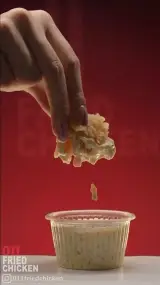 مرغ کنتاکی بابل 011 friedchicken