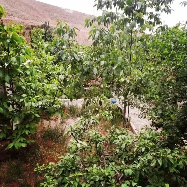 سفره خانه سنتی بام پردیس