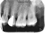 دکتر سعیده صدر