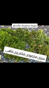سبزیجات و ترشیجات مائده بانو