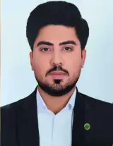 وکیل محمدحسین روحی