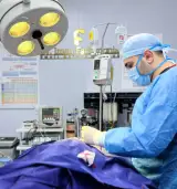 مرکز تخصصی جراحی حیوانات خانگی دکتر فرهنگ نیا