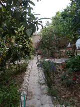 اقامتگاه بوم‌گردی طارون