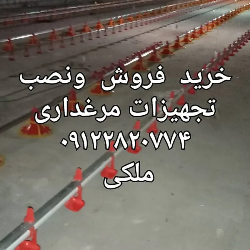 طیور وتجهیزات مرغداری