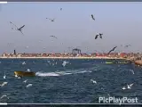 مینا میرزاخانی