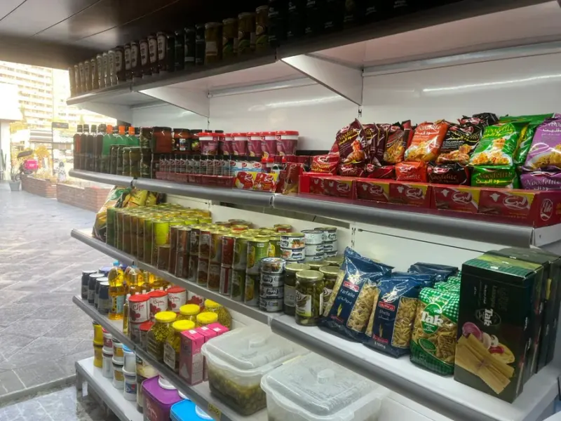 پروتئینی منصوری
