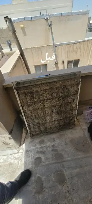 مجید زارعی محب