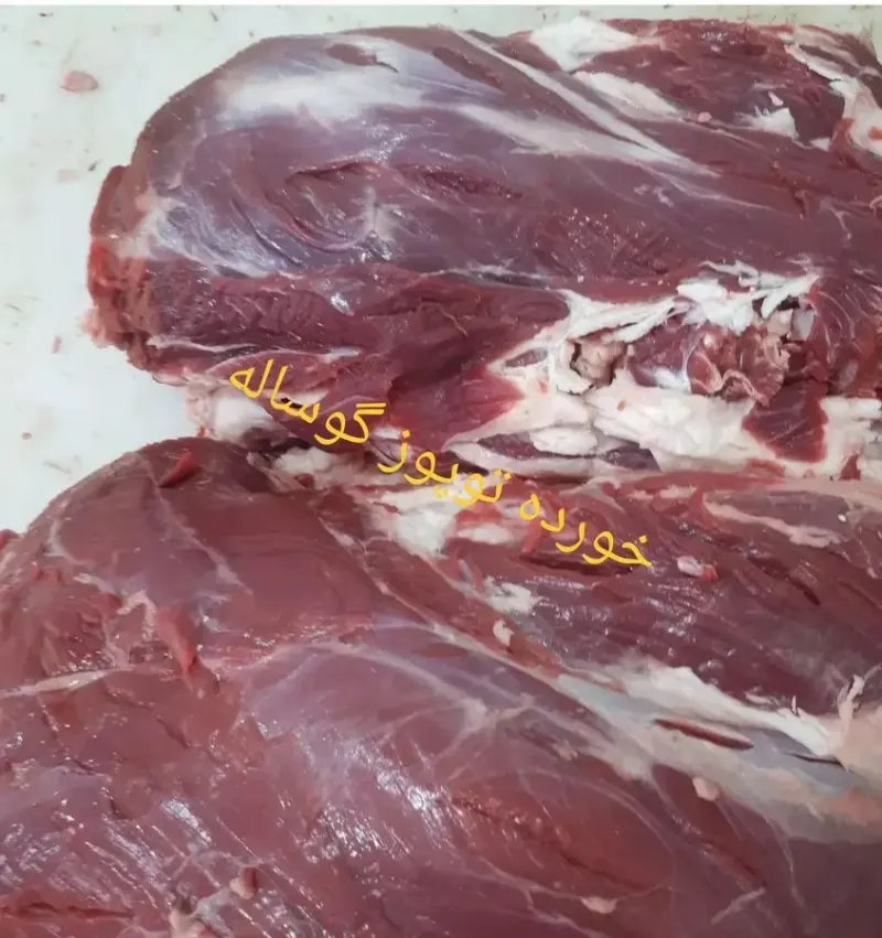 پخش گوشت شهرام