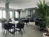 کافه هوما