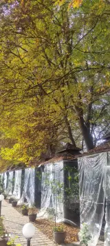 رستوران شاندیز سرسبز