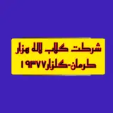 تولیدوفروش غنچه گلبرگ گل محمدی لاله زار