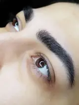ترانه میکرو