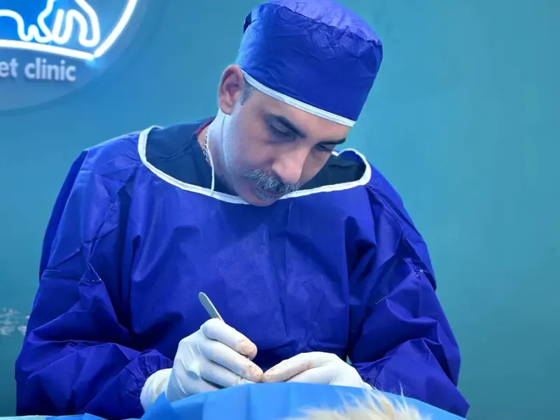 کلینیک دامپزشکی مشتاق