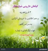 عطاری شیخ عطار