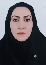وکیل ندا اسلامی