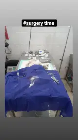 کلینیک دامپزشکی مارلیک