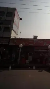 پیتزا ساندویچ عالیجناب