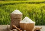 بازرگانی میلانه