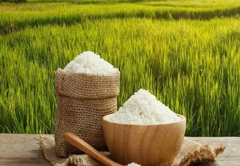 بازرگانی میلانه