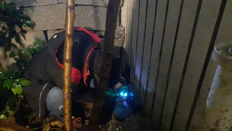 سمپاشی سلامت آفرین رشت