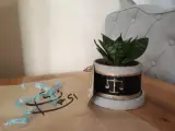 مون فلاورز