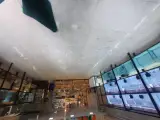 اکواریوم سینا