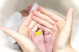 دکتر آیدا ذهبیون