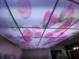 طراحی دکوراسیون صمیمی پور