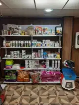 کلینیک دامپزشکی باران