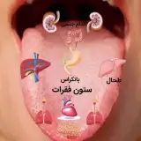 طب اسلامی