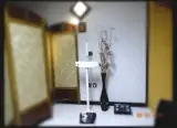 کیانوش کریمی