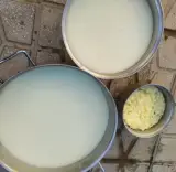 لبنیات سنتی عشایر آذربایجان