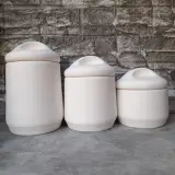 ظروف سرامیک بهدیس