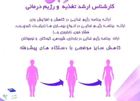 ندا فروهی