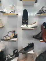 کیف و کفش قربانی