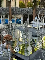 تشریفات مجالس آرینا