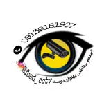 سیستم حفاظتی پهلوان دوست