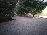 سوییت امیریه