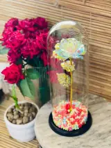 پخش اکسسوری رزا 110