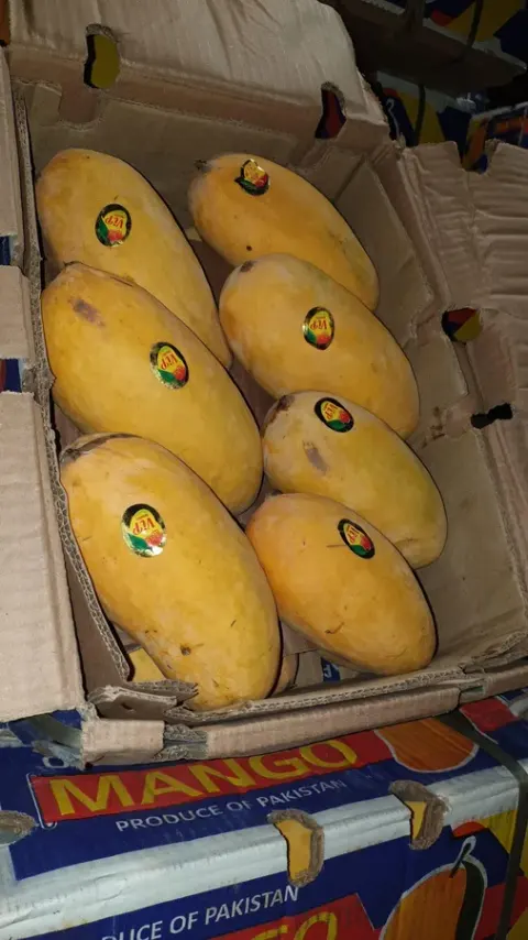 فاز یک سالن