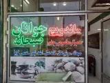 ساندویچ جوانان