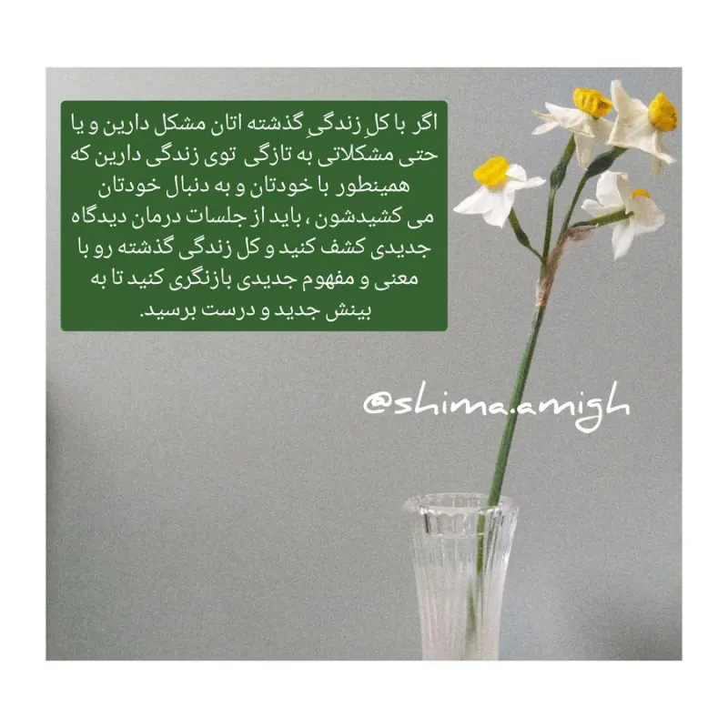 شیما آمیغ کارشناس ارشد مشاوره خانواده