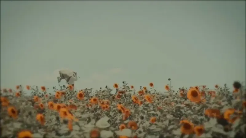 شال و روسری مارکت